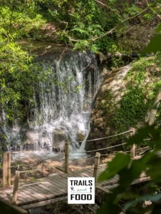 Daphne springs in Lefkada