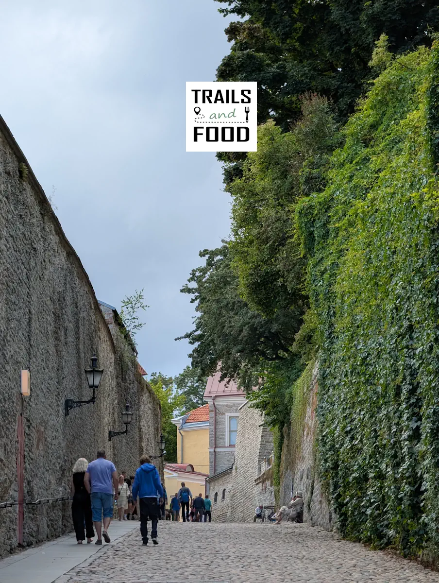 Στα τείχη του Τάλιν