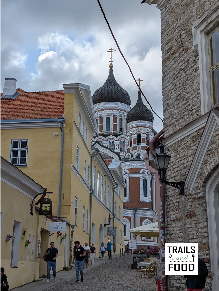 Ο Καθεδρικός Ναός Αγίου Αλέξανδρου Νιέφσκι στο Τάλιν